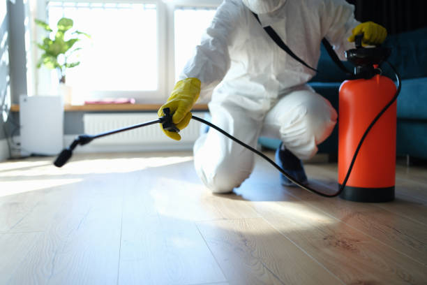 Trusted Trauma Scene Cleanup service in Glennville, CA - Four Month Blood Cleanse